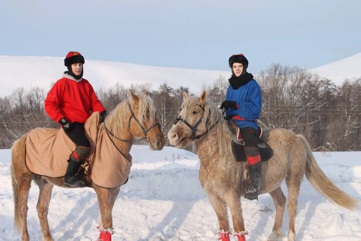 Конный двор в Менделеевске