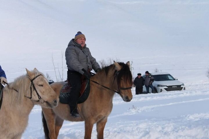 Конный двор в Менделеевске