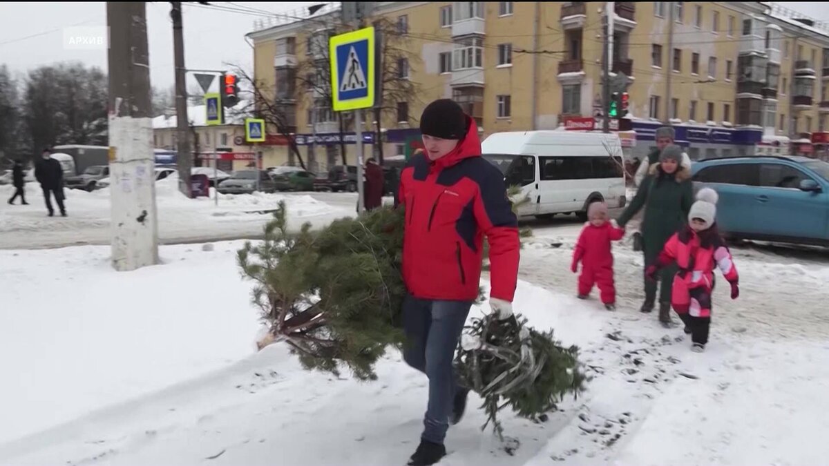 В Уфе установят 13 контейнеров для сбора новогодних деревьев | Башкортостан  24 | Дзен