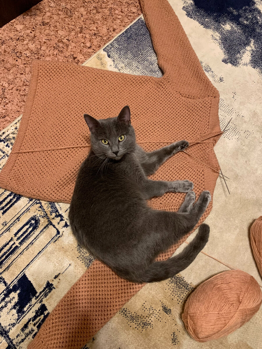 Наш кот Зефир частенько вяжет вместе со мной, или вяжет веревки из моего мужа.