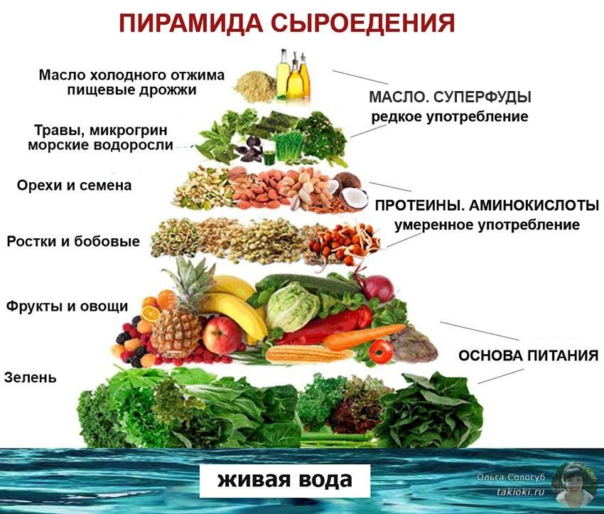 Соль вредна для организма. Соль приметы и советы. Соль белый яд. Низкосолевая диета. Почему нельзя соленое.