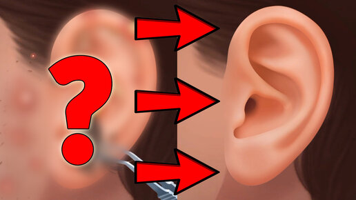 Малышка хейзел: кухонный рецепт. Устройство игрового картриджа. Разборка sony playstation 4 slim чистка. Sony playstation 4 чистка. Чистка коврика для мыши.