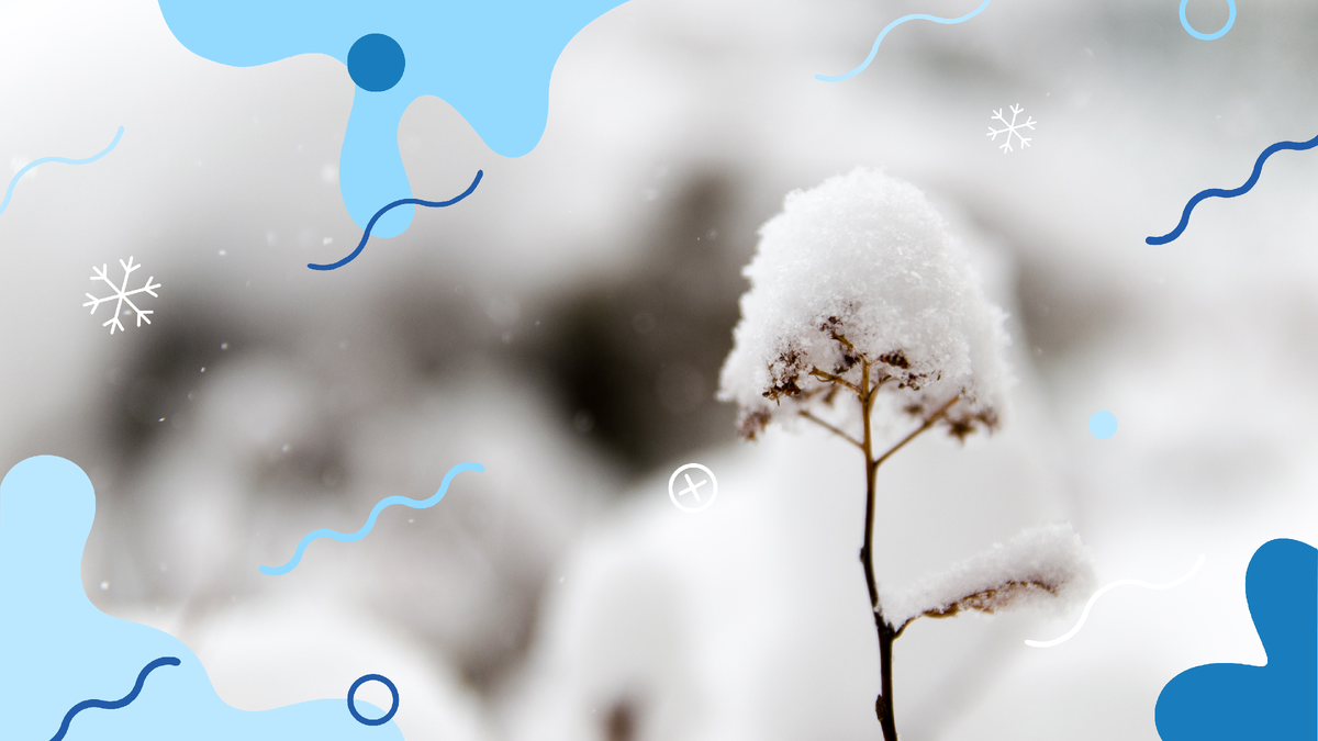 В метеосводках мы нередко слышим о высоте снежного покрова и количестве выпавших осадков.