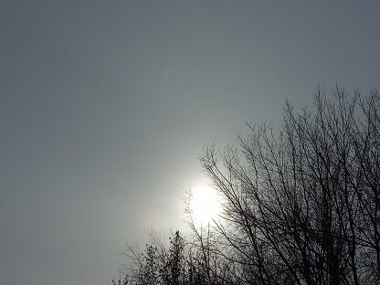 Фотография из личного архива автора