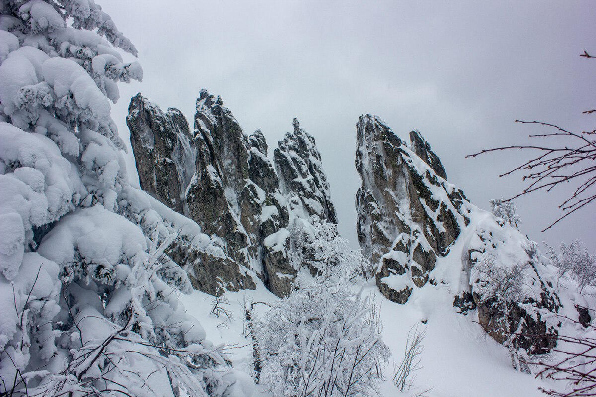 знаешь горы плакали. жинвали казбеги дорога. мияги и энди панда там ревели горы. странник. гора сипил.
