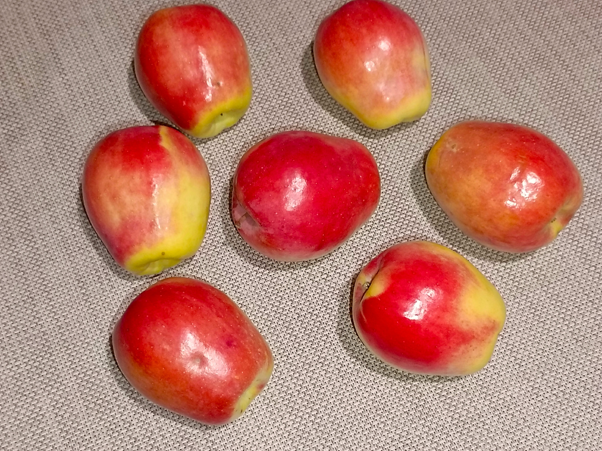 Урожай октябрь 2025 года 