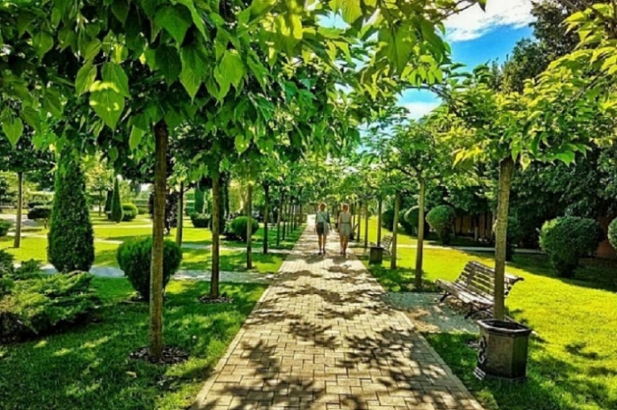    В 2024 году в Краснодарском крае благоустроят 104 зеленые зоны