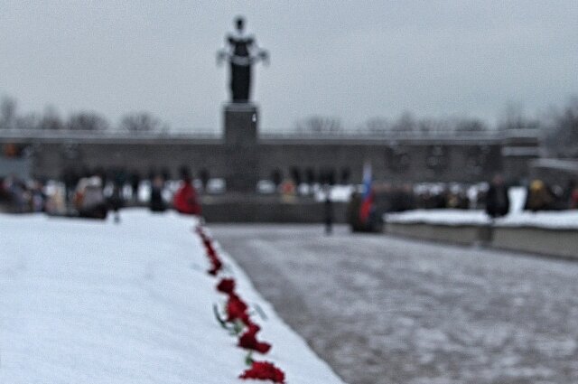    Фото: АиФ-Петербург/ Владимир Чигиринов