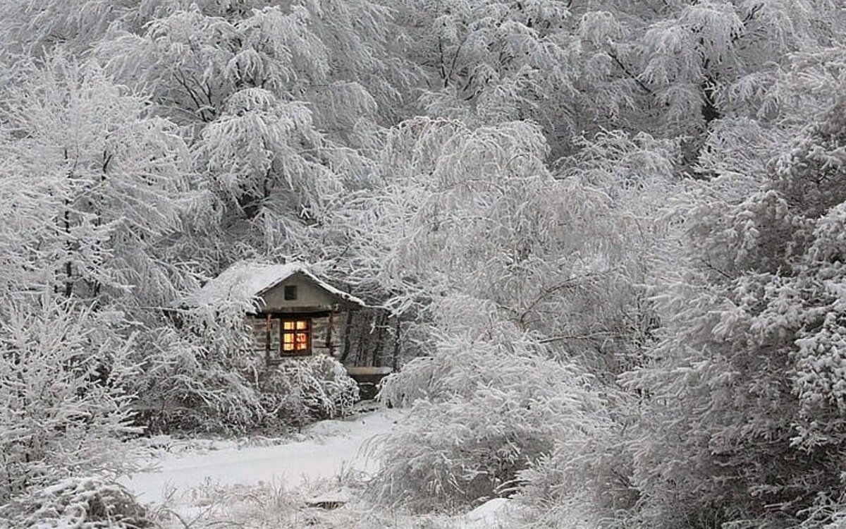 Яндекс картинки