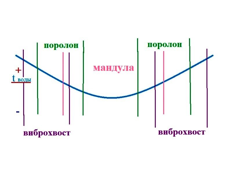 Мандула: что это, способы ловли на мандулу, мандула своими руками