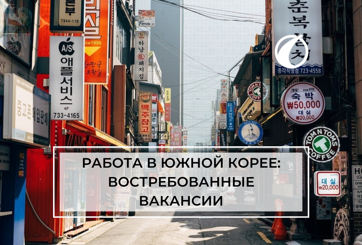 Работа в Южной Корее для россиян: востребованные вакансии и сколько платят  | Uway – Визы | Эмиграция | Туризм | Дзен