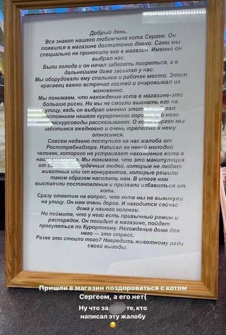 Уволили кота сергея