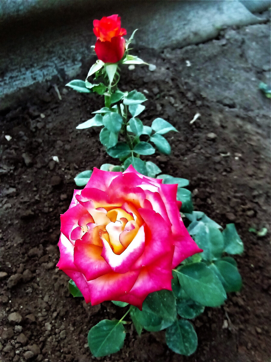 фото автора канала