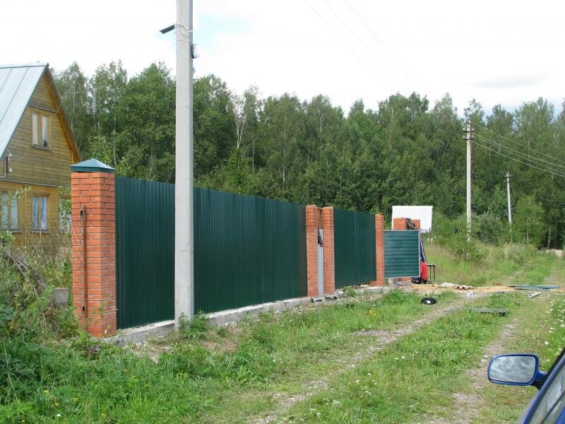 Посажена была внутри той части забора, где мужичок в красной майке запечатлен, примерно на 3 м вглубь участка
