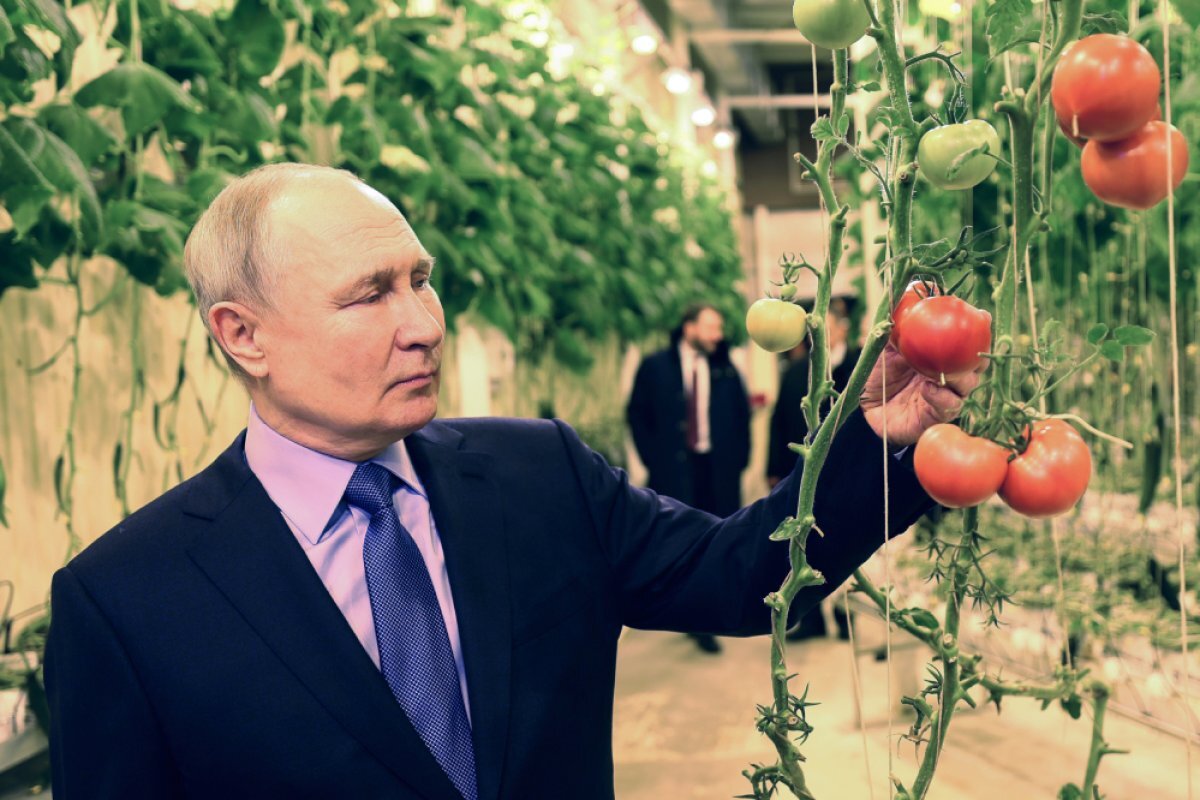    Президент РФ Владимир Путин во время посещения круглогодичного тепличного комплекса «Крестьянское хозяйство Макатровых» в Анадыре. 10 января 2024.