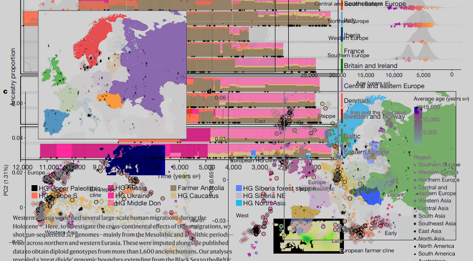   N + 1; Morten Allentoft et al. / Nature, 2024