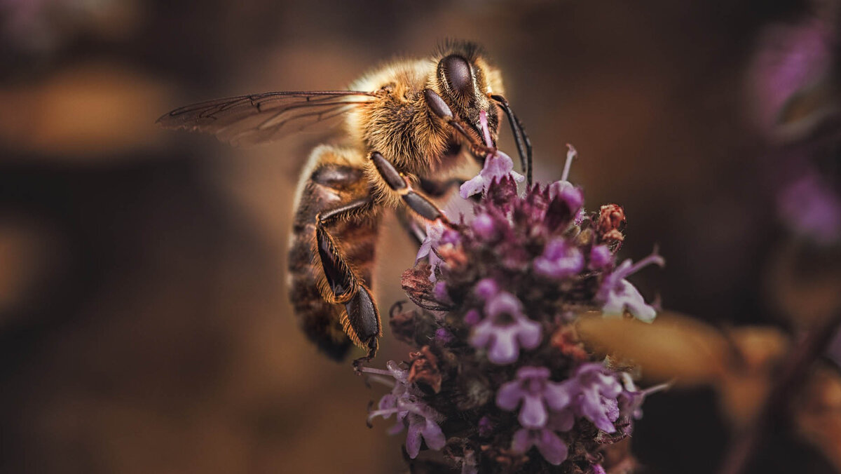 источник фото: Яндекс.Картинки