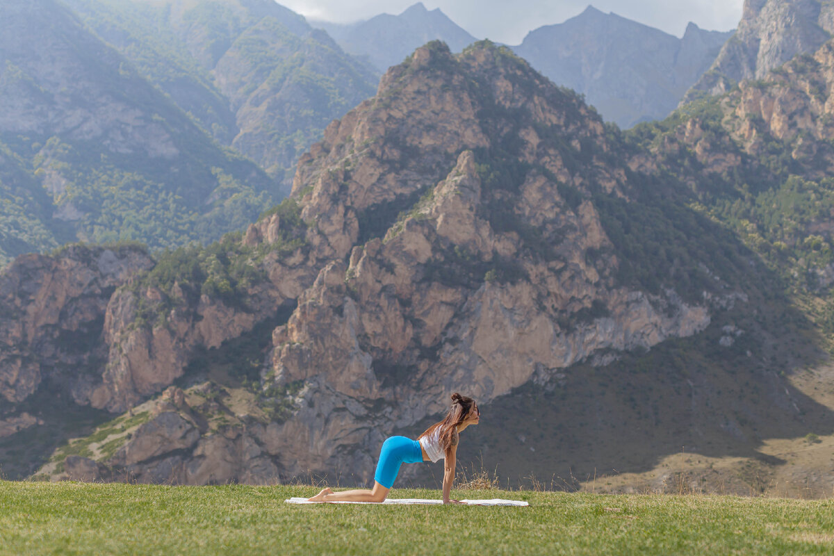 Вдохнуть, сделать прогиб ,взгляд и грудную клетку направить вперед.(кошка)