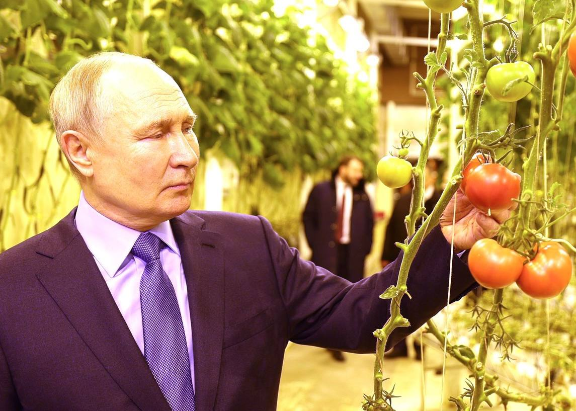 В ходе визита на Чукотку президент увидел уникальную ферму, где овощи выращивают в условиях вечной мерзлоты.