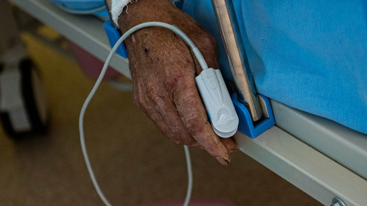 фото из интернета