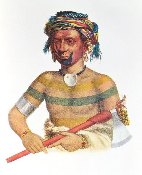 Shau-Hau-Napo-Tinia, an Iowa Chief, 1837, illustration from 'The Indian Tribes of North America, Vol.1', by Thomas L. McKenney and James Hall, pub. by John Grant (colour litho) Charles Bird King by Charles Bird King