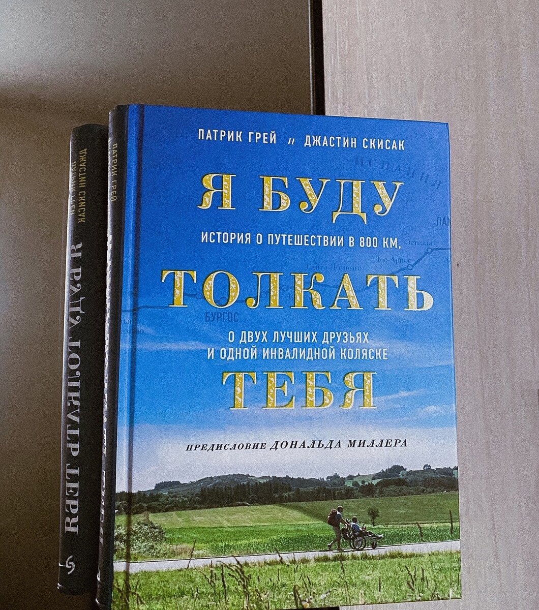 Обложка книги "Я буду толкать тебя"