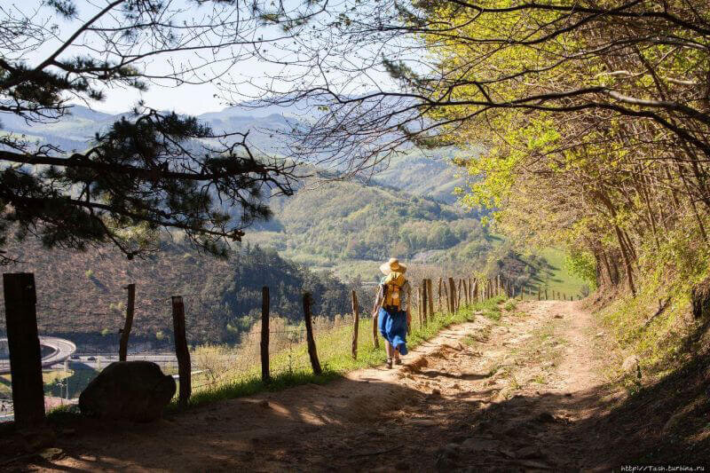 Несколько фото с паломнической тропы "Путь Святого Иакова" (фото взяты из интернета)