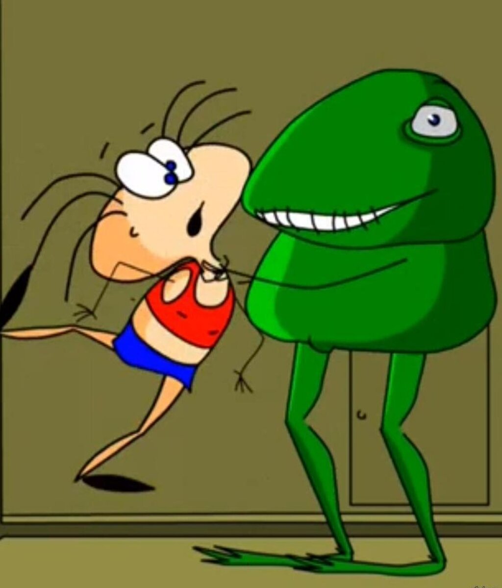 Фото из интернета. 