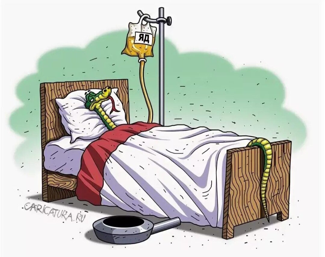 Фото из интернета. 