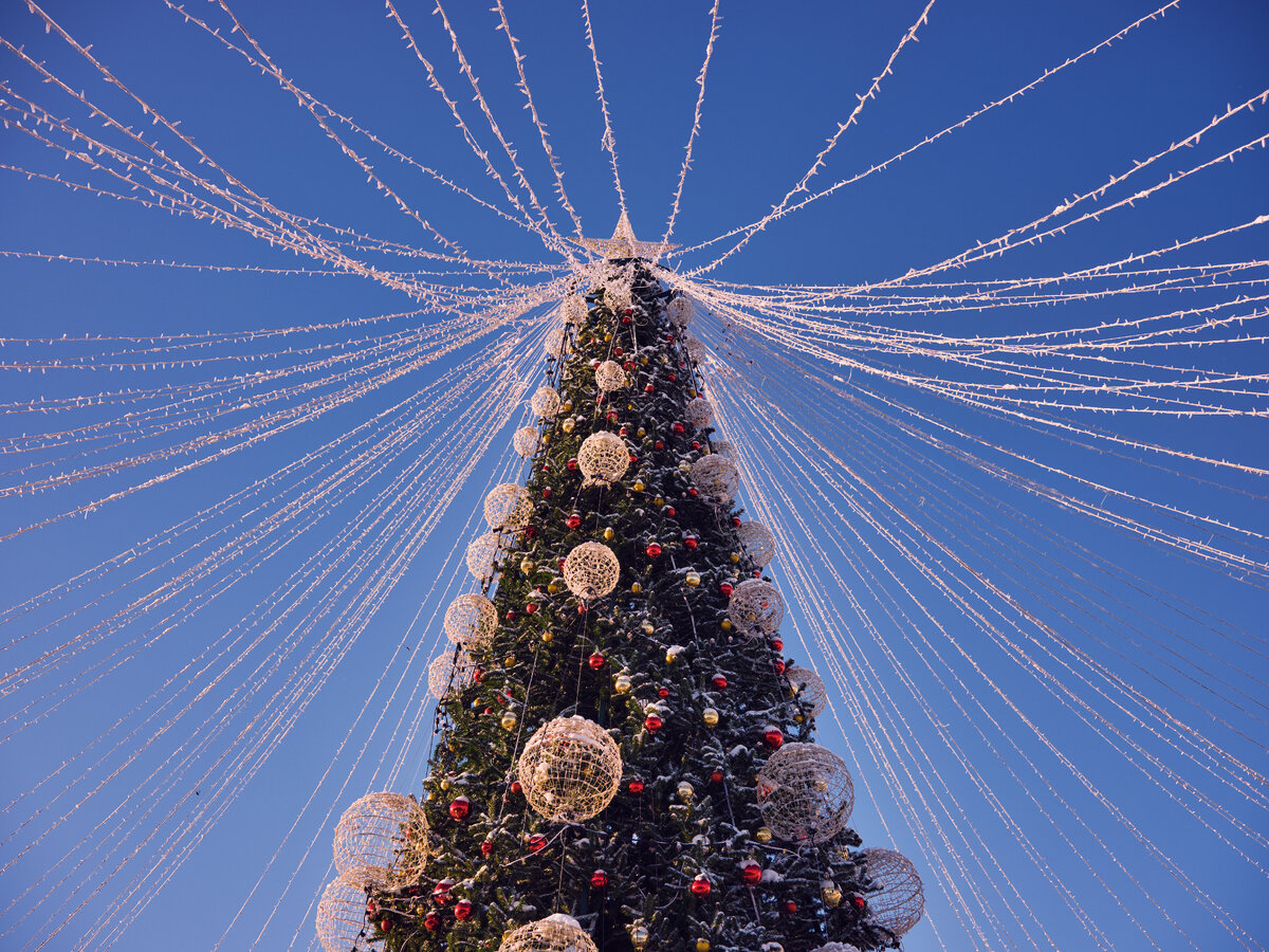 елка - почти единственное до чего не дотянулись руки рабочих  