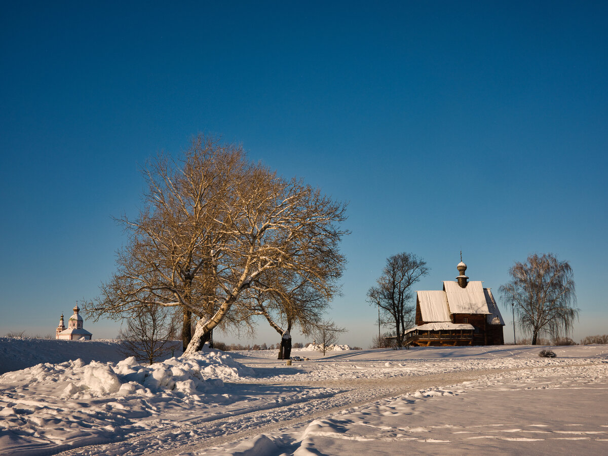 а на территорию без билета уже не пускают, пришлось фотографировать за забором