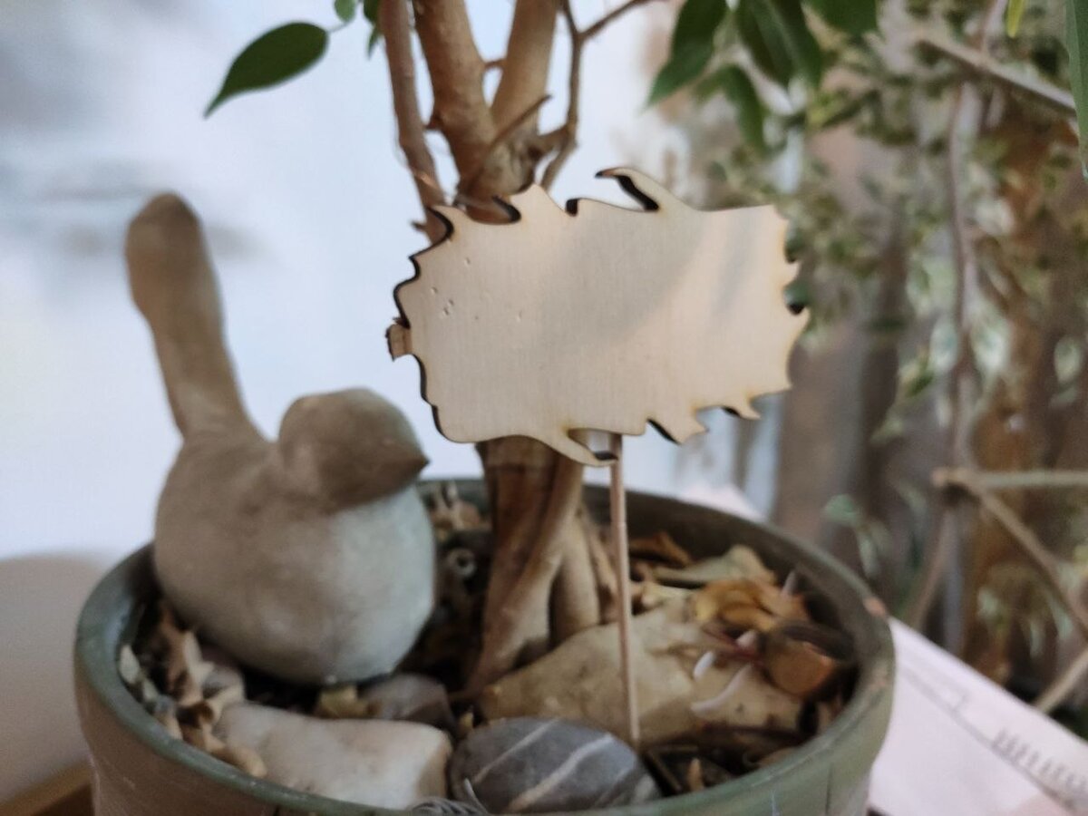 Воткнула в фикус для фото 