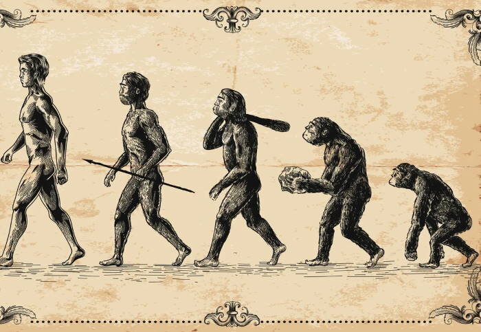 История человечества