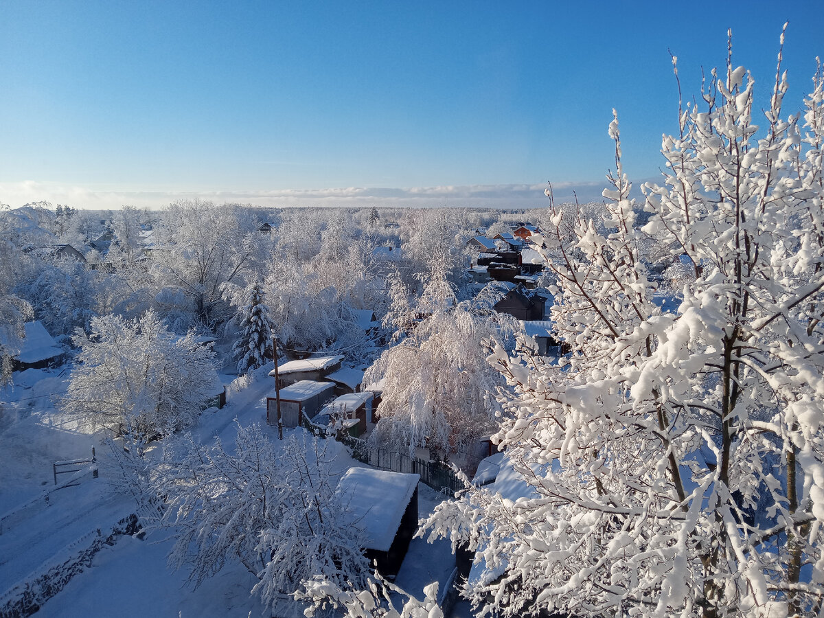 Фото автора.