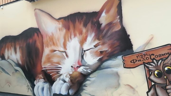 ФОТО: КСЕНИЯ ДУДАРЕВА/ЦАРЬГРАД