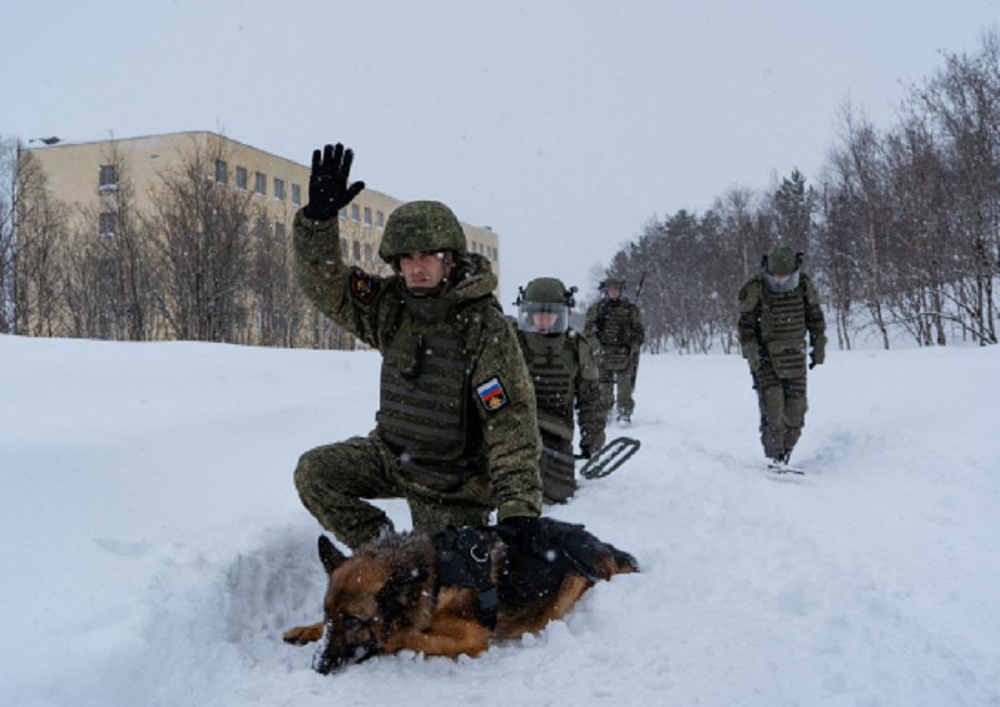 Военнослужащие морского инженерного полка Северного флота во время отработки практических навыков в условиях Арктики - Фото: mil.ru