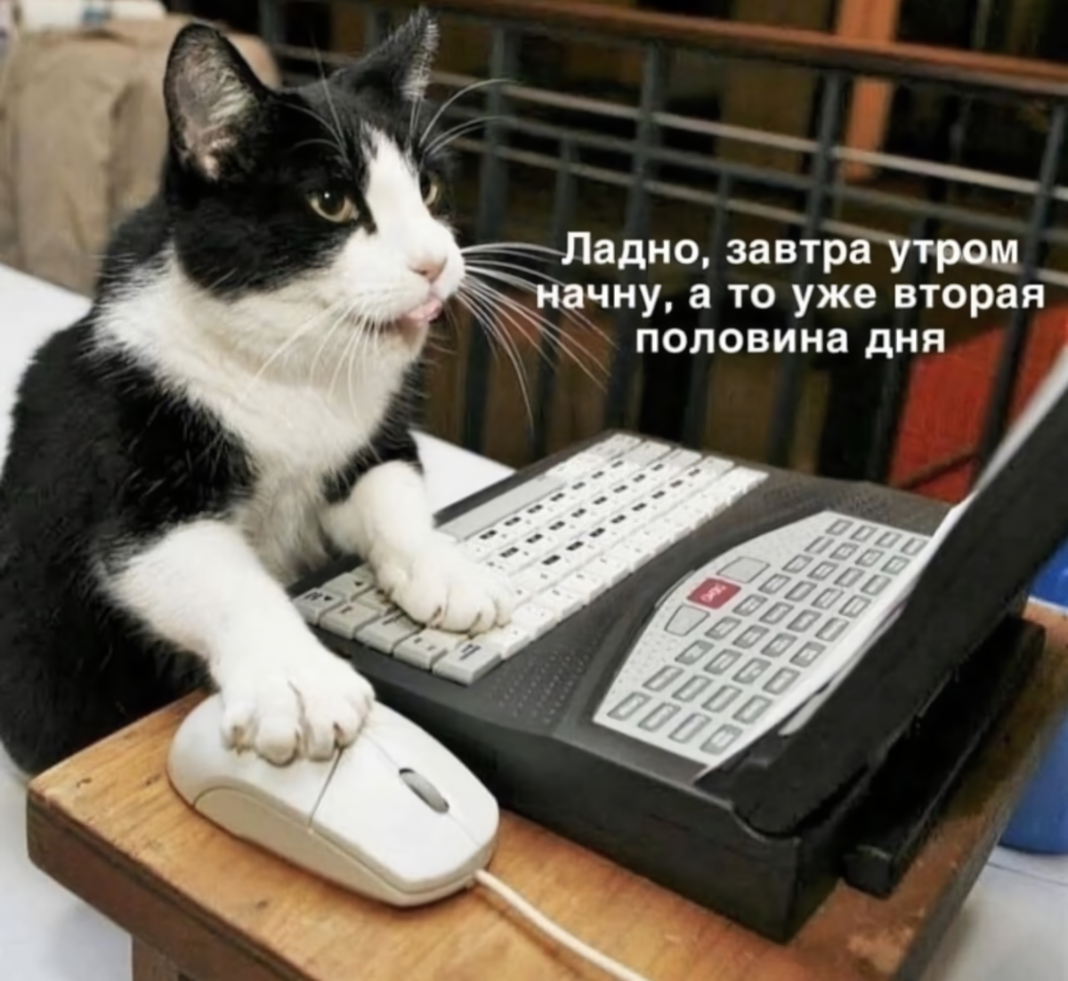 Сказано сделано перевод