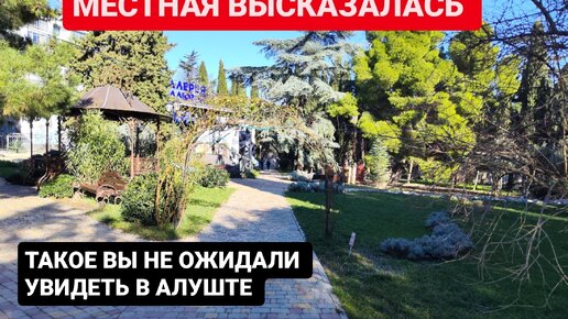 Что ПЛОХО в Крыму? Такое Вы не ожидали увидеть в Алуште зимой. Неожиданная встреча. Показала один день из жизни местной