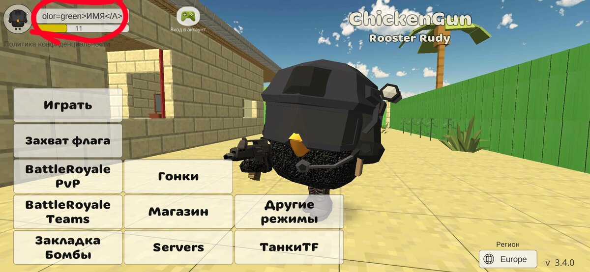 Куда вводить команду