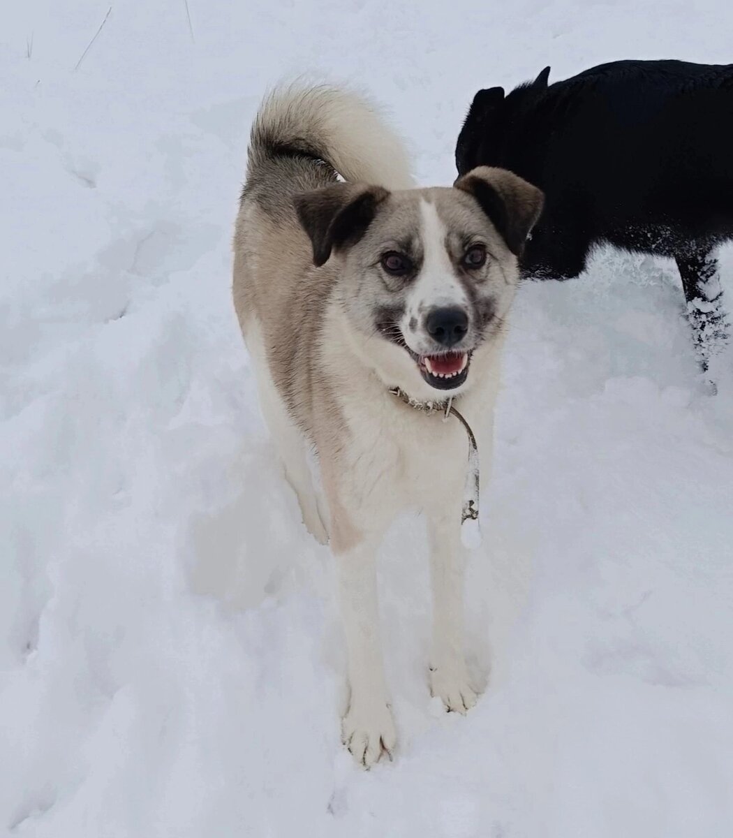 Динка-картинка.  Посмотрите, как  глазками стреляет !