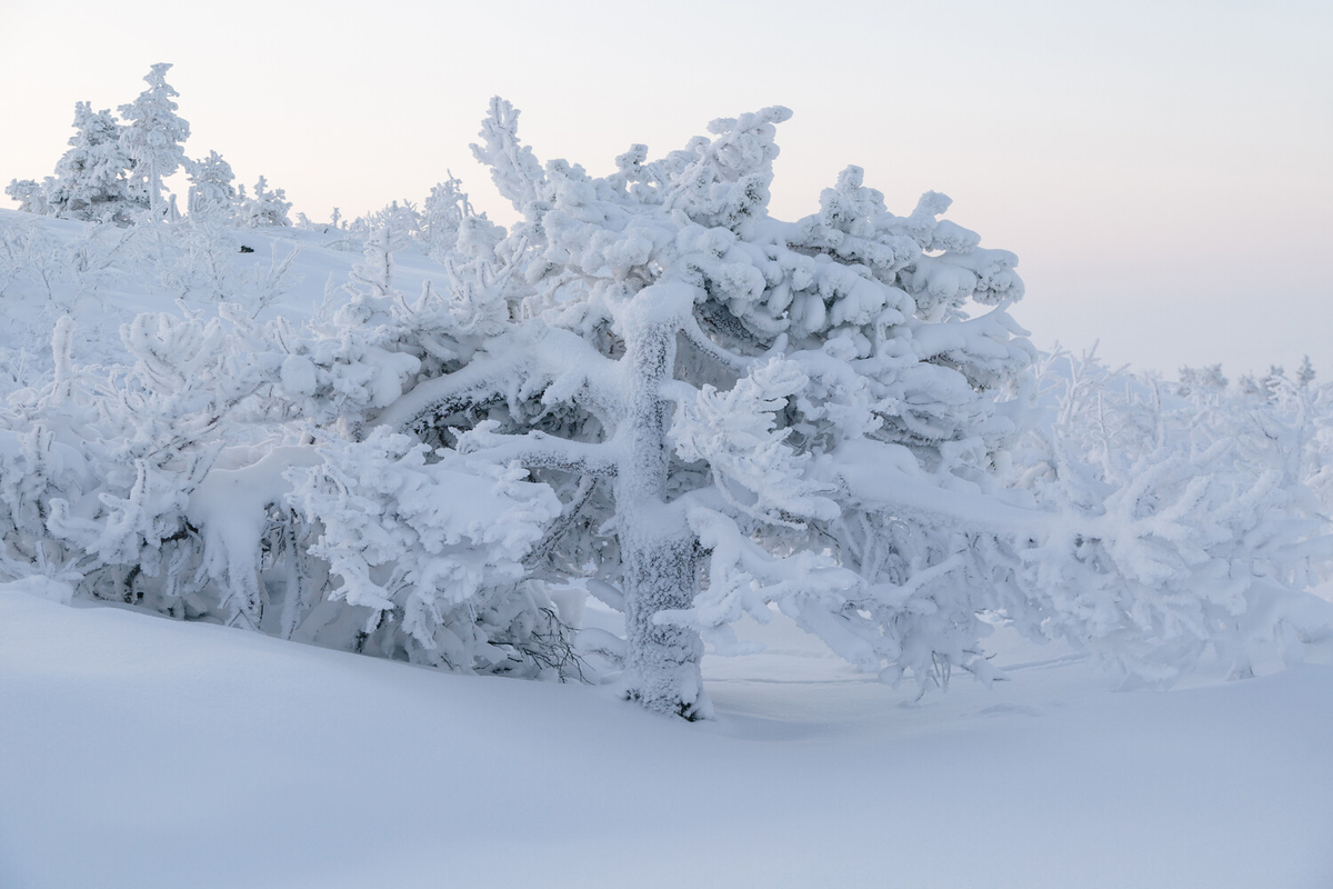 Андрей Белавин