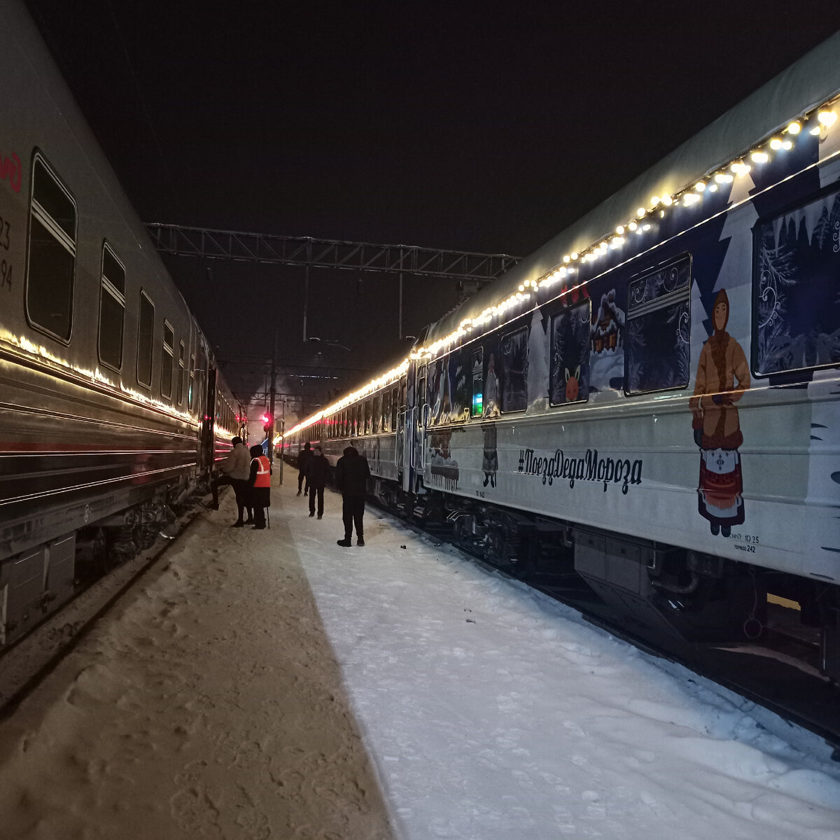 На поезде из Москвы в Архангельск зимой | Разнотравье | Дзен