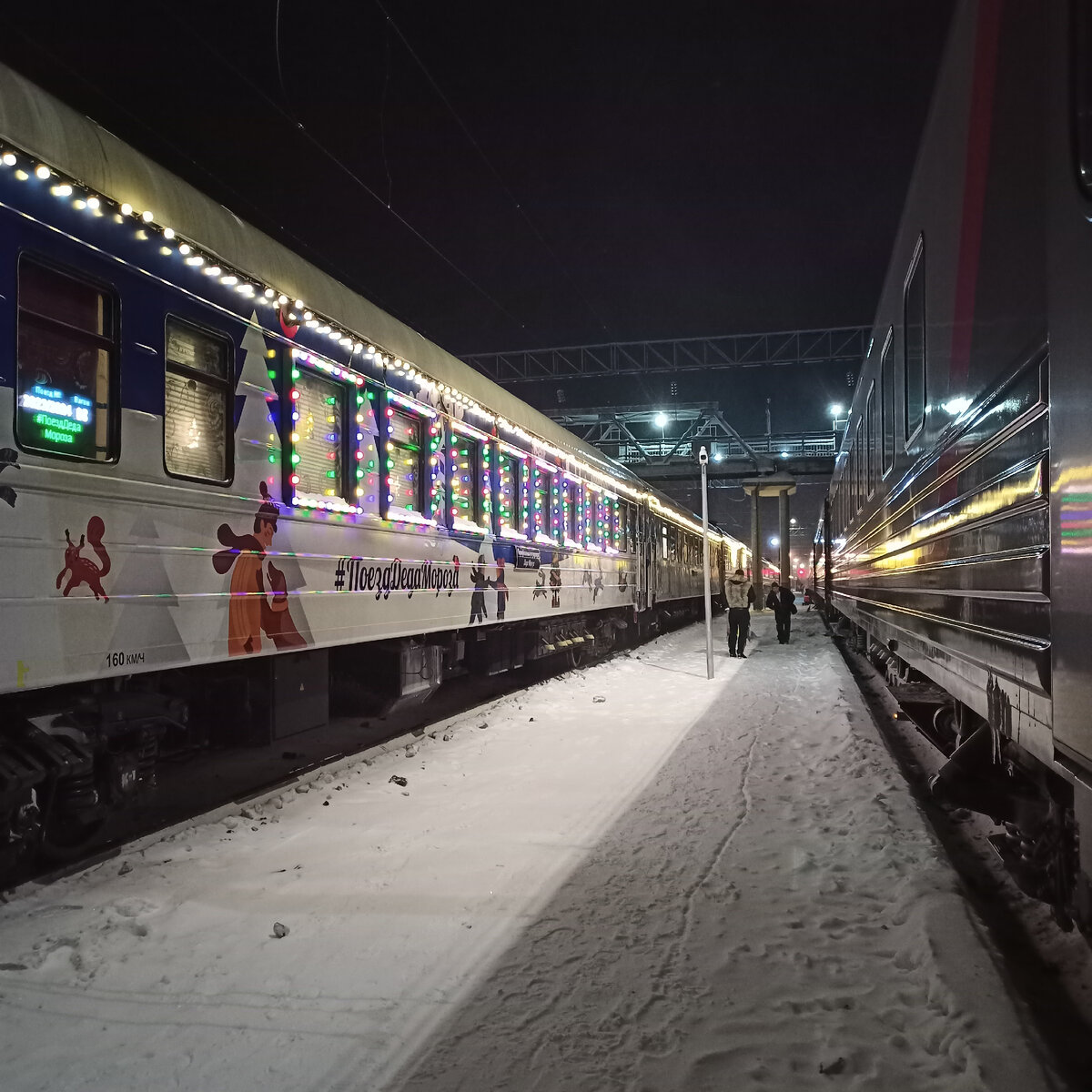 На поезде из Москвы в Архангельск зимой | Разнотравье | Дзен