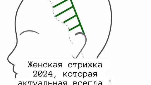 Миркосмоса ру стрижки 2024 февраль