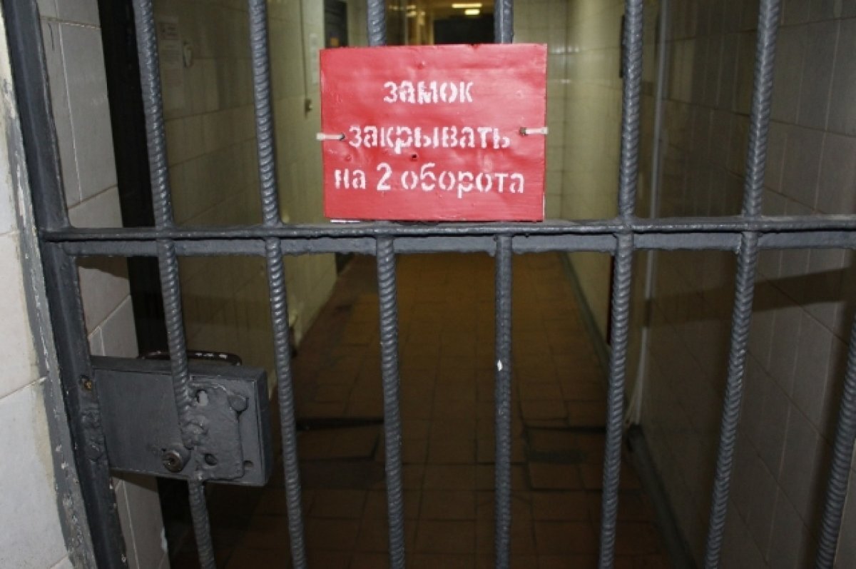   В Хакасии за сексуальное насилие над ребёнком пенсионера отправили в СИЗО