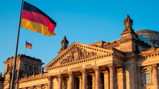    СМИ: политики из немецкой АдГ участвовали в тайной встрече по "реэмиграции" Сергей Бунеев