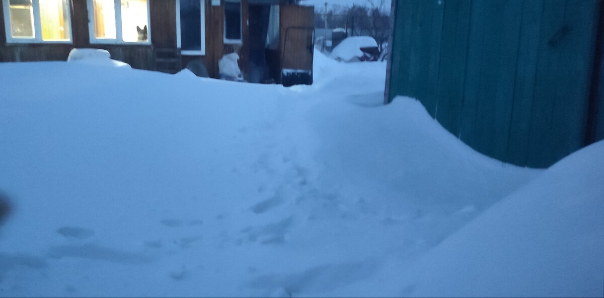 Высота сугробов  местами мне была выше колена