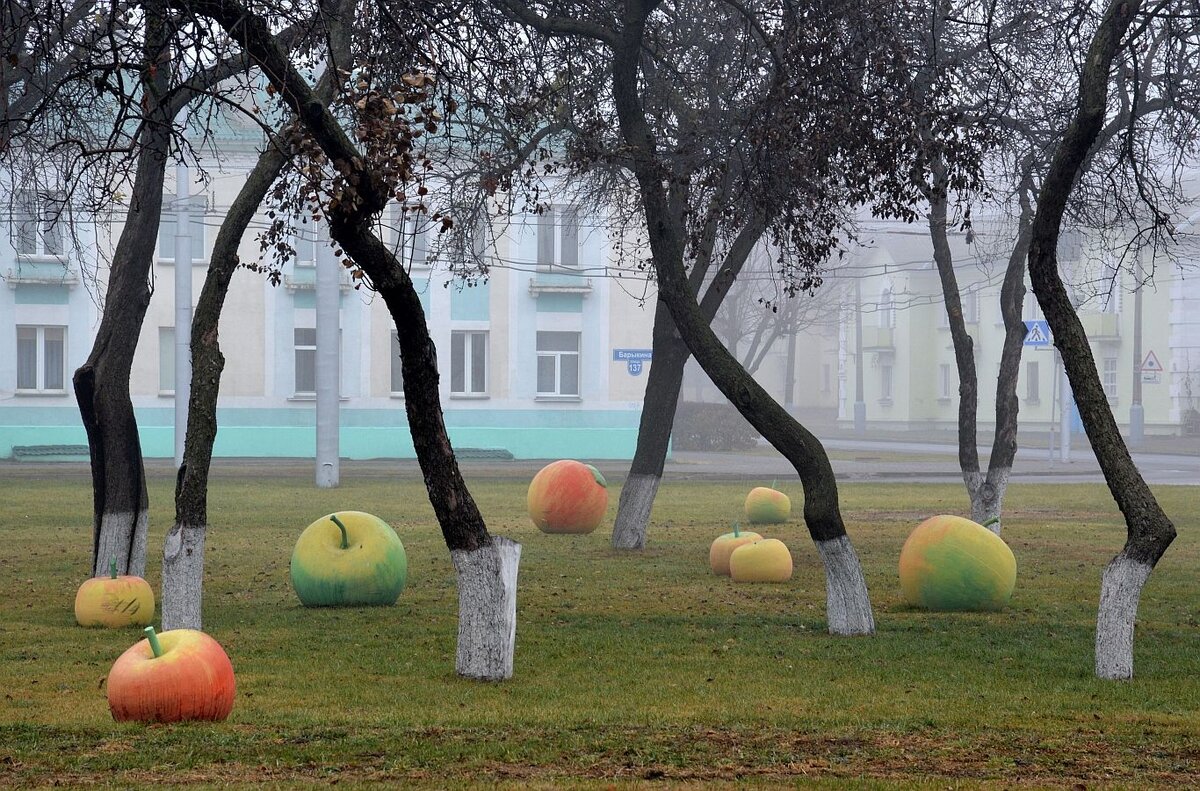 Ностальгия. Вот лучшие фото с бетонными яблоками в Гомеле | Журнал «Белка».  Гомель. Беларусь | Дзен