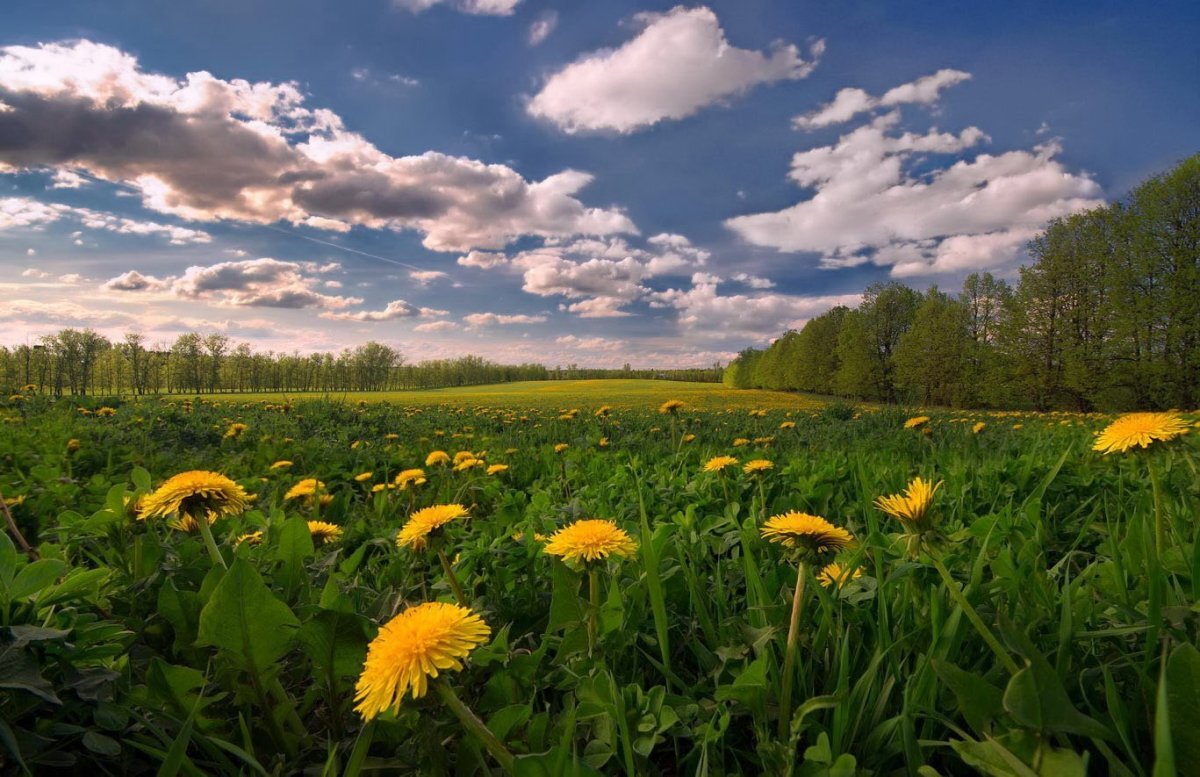 писали письма друг другу