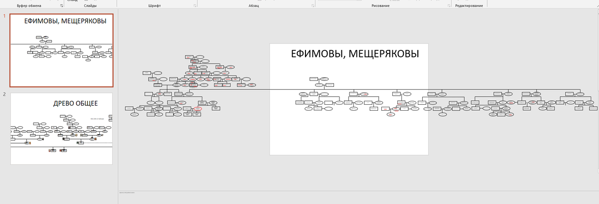 Семейное древо Ефимовых-Мещеряковых. На тот момент древо было не полное. Рисовала в Power Point